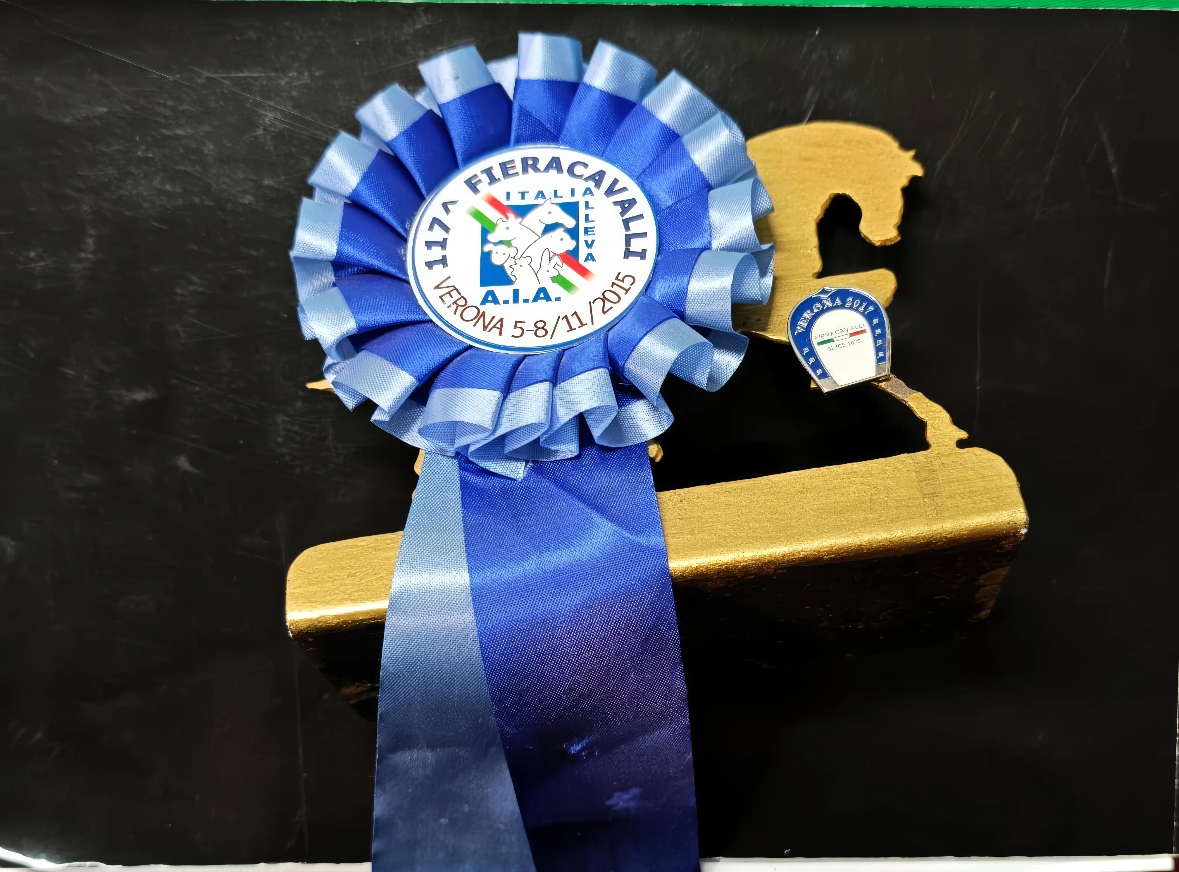 Rosetta premio Fieracavalli Verona 2015 vinta da Andrea Serritella e Rino