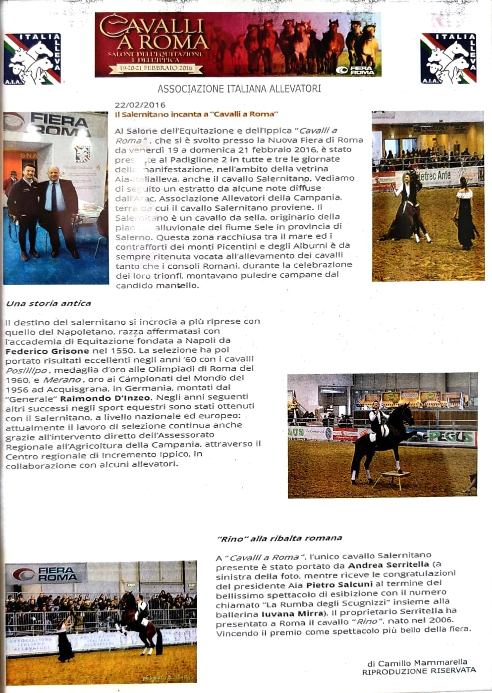 Esibizione di Andrea Serritella a Cavalli a Roma 2016