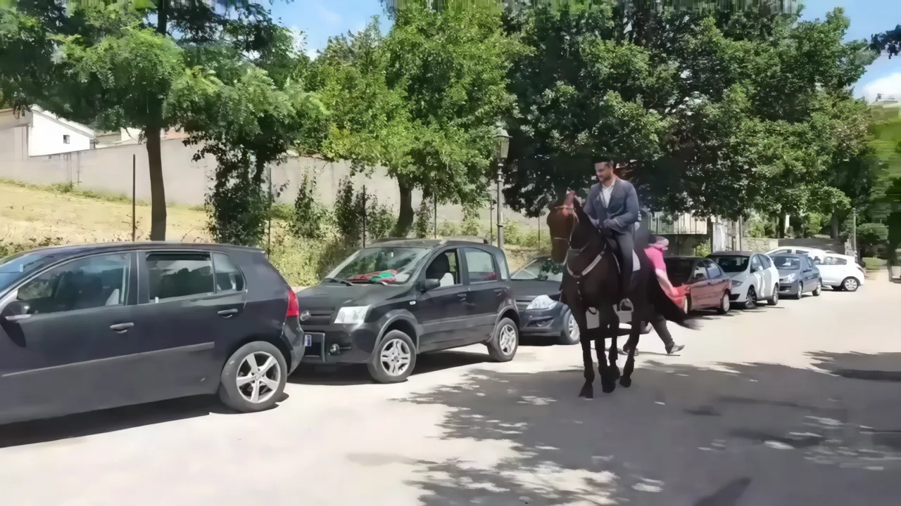 Andrea e Rino in esibizione a Fieracavalli Verona